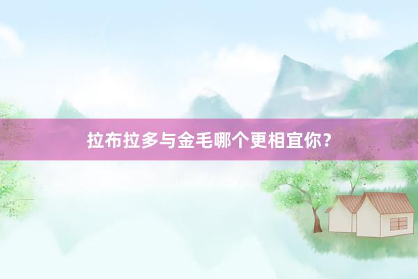 拉布拉多与金毛哪个更相宜你？